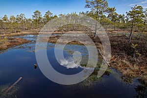 Purva ainava ar baseiniem pavasarÃÂ«, mÃÂkoÃâ ainas debesis, Cena Moorland, Latvia photo